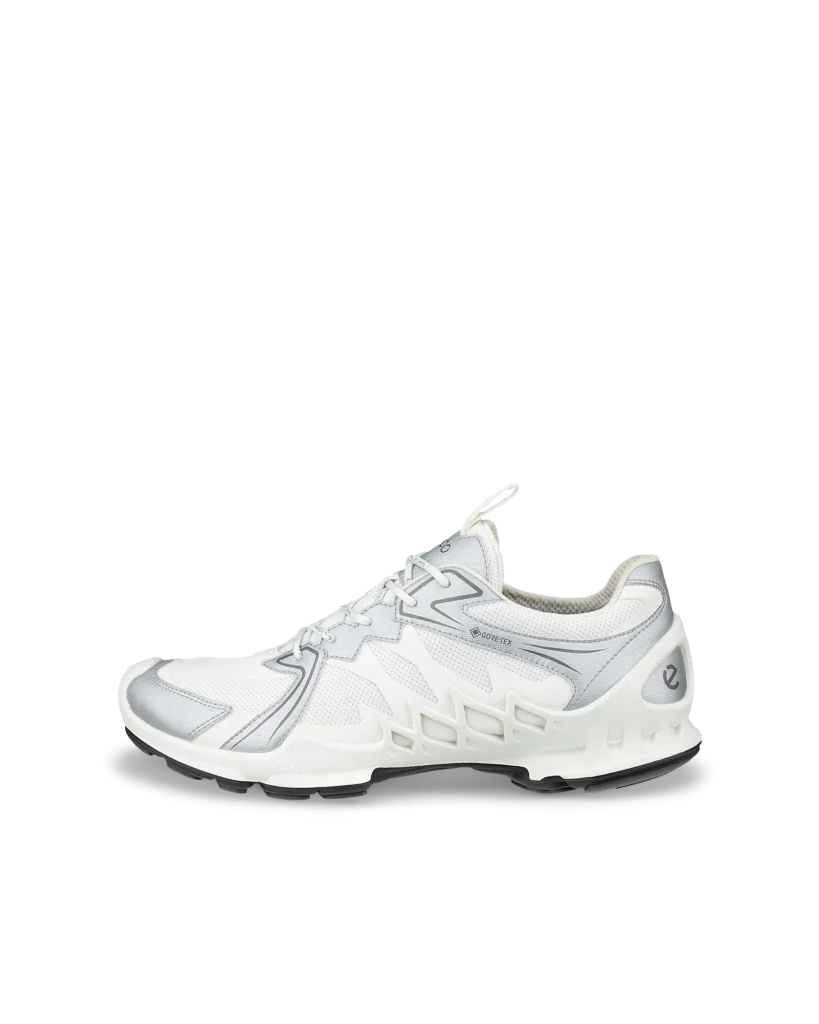 ECCO_AEX_1
