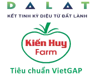 Kien Huy Farm