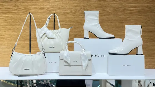 PUCINI SC Vivo