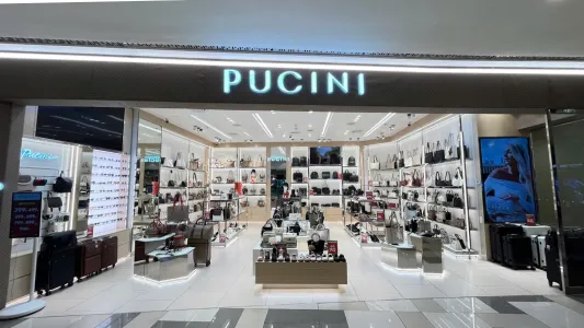 PUCINI SC Vivo
