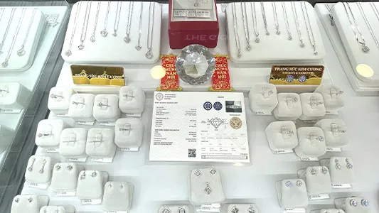 TGKC SC Vivo