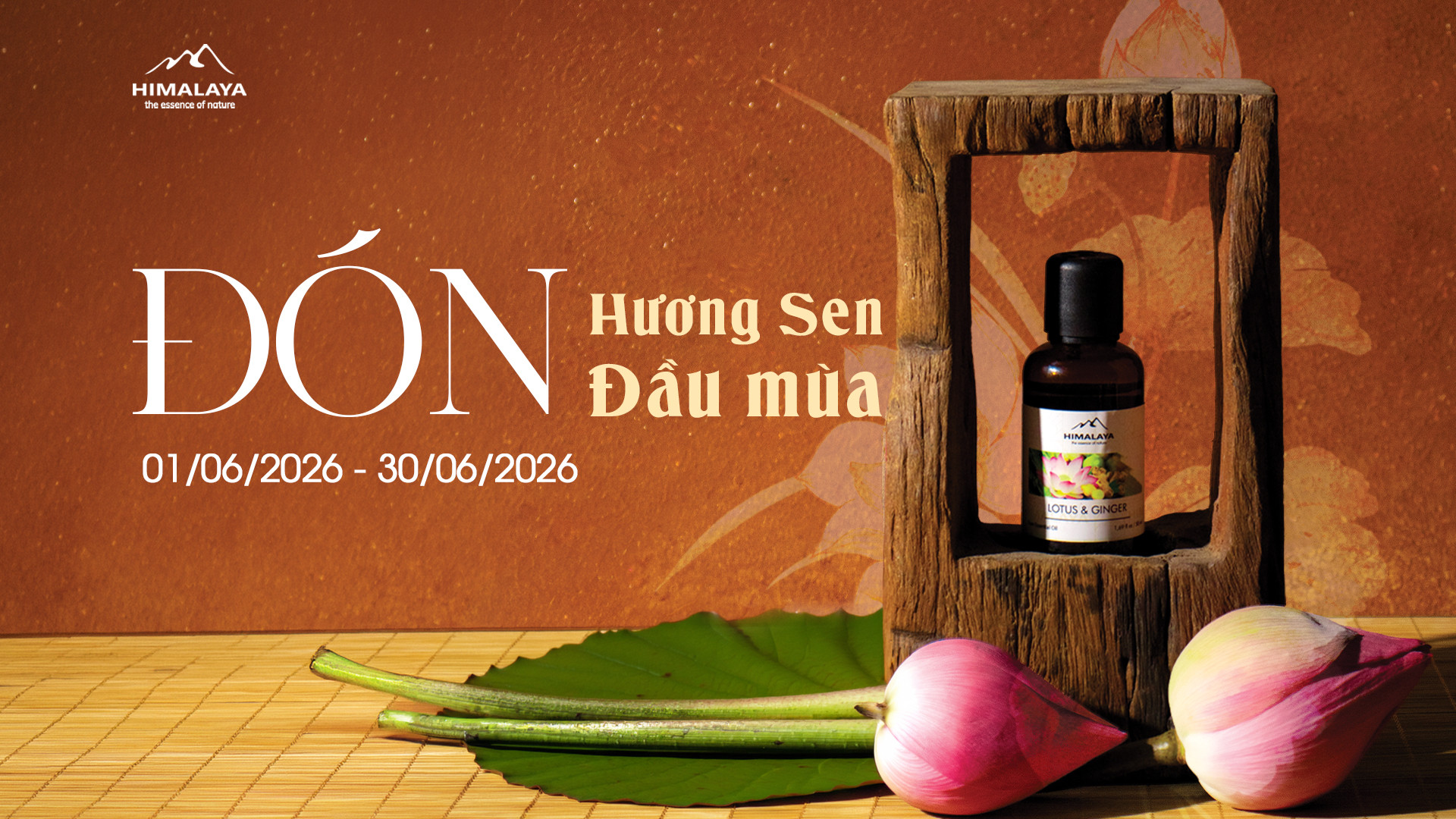 HIMALAYA – Đón hương Sen đầu mùa